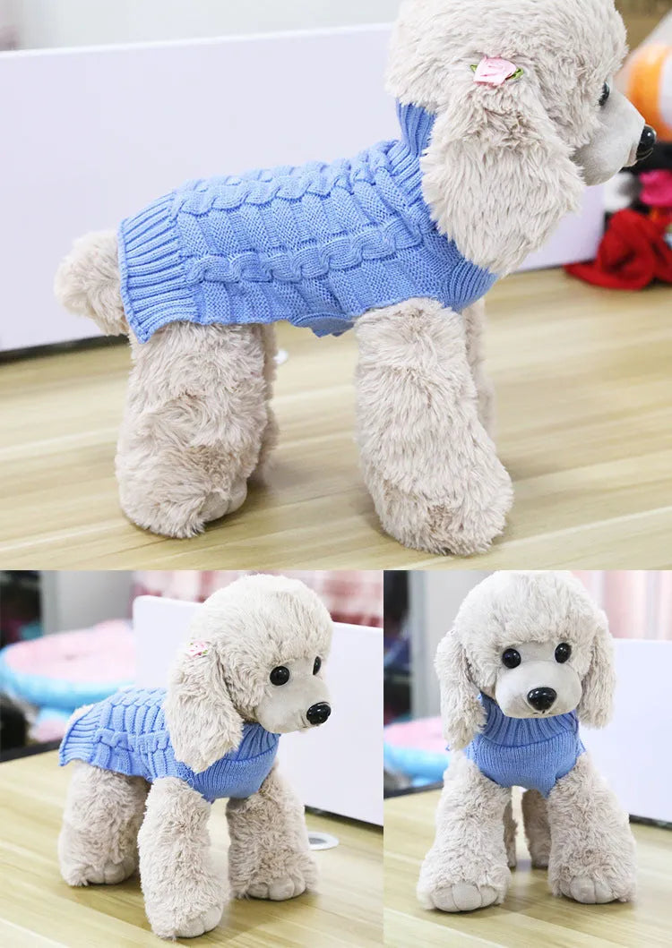 Blue twisted rope knit dog sweater on a small dog, showing textured design and fit.