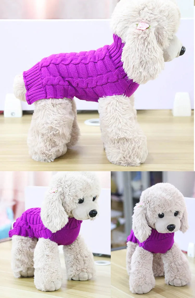 Blue twisted rope knit dog sweater on a small dog, showing textured design and fit.