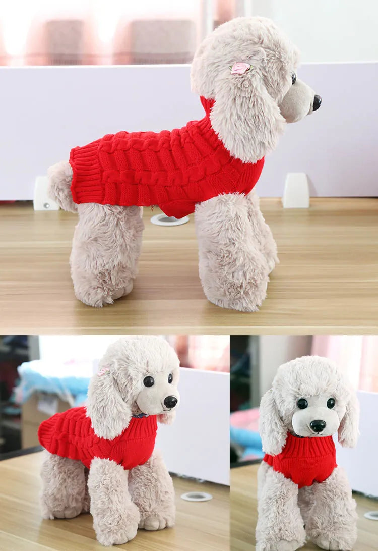 Blue twisted rope knit dog sweater on a small dog, showing textured design and fit.