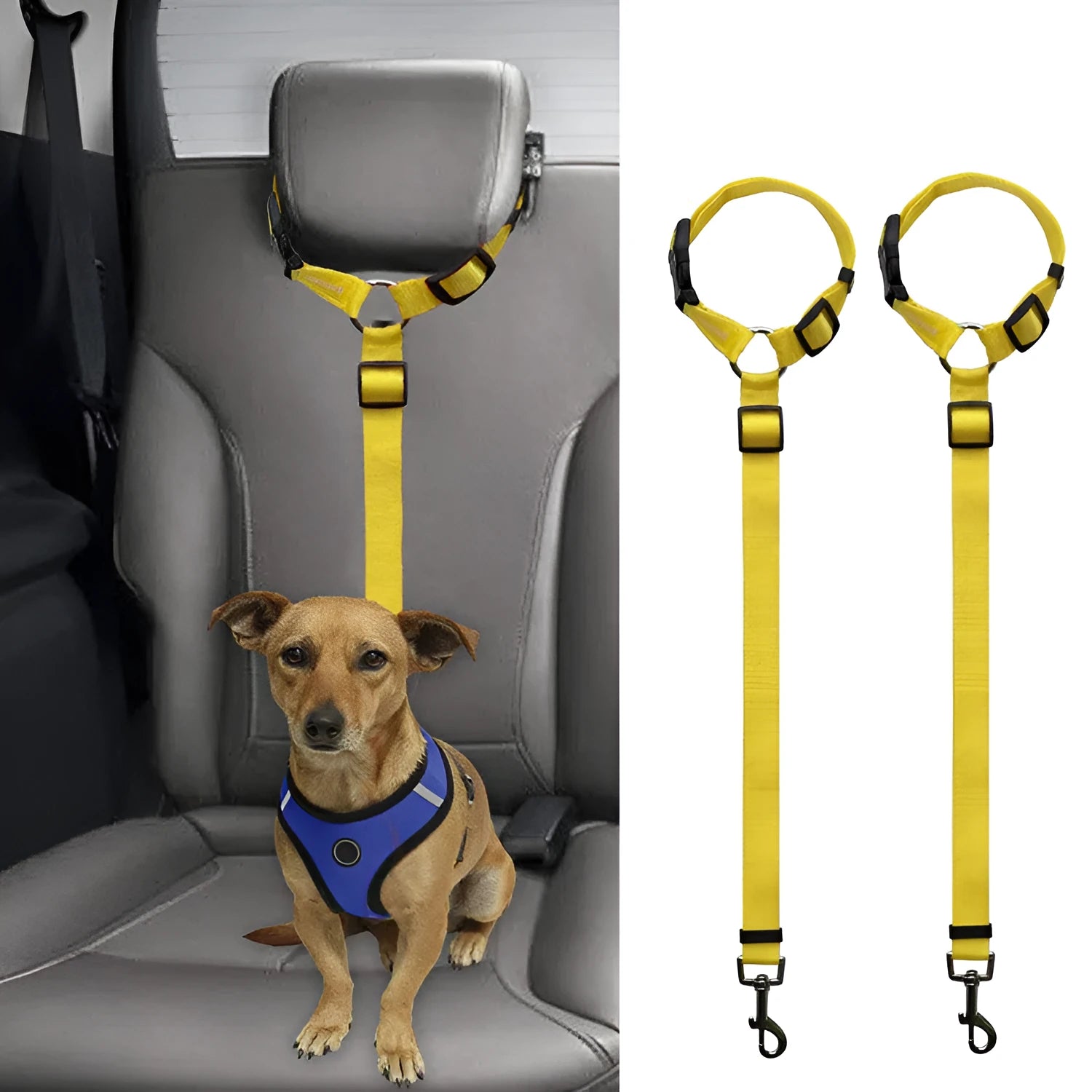 Car backseat pet leash in black polyester for dog travel safety