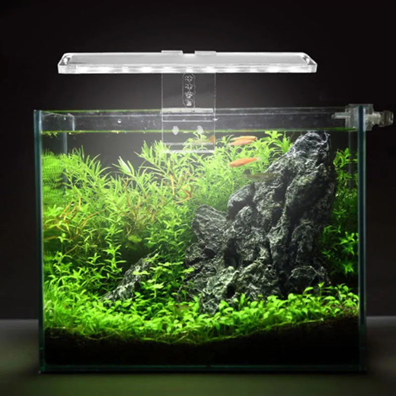 Thin transparent LED fish tank light with acrylic body and touch switch on 10mm tank wall