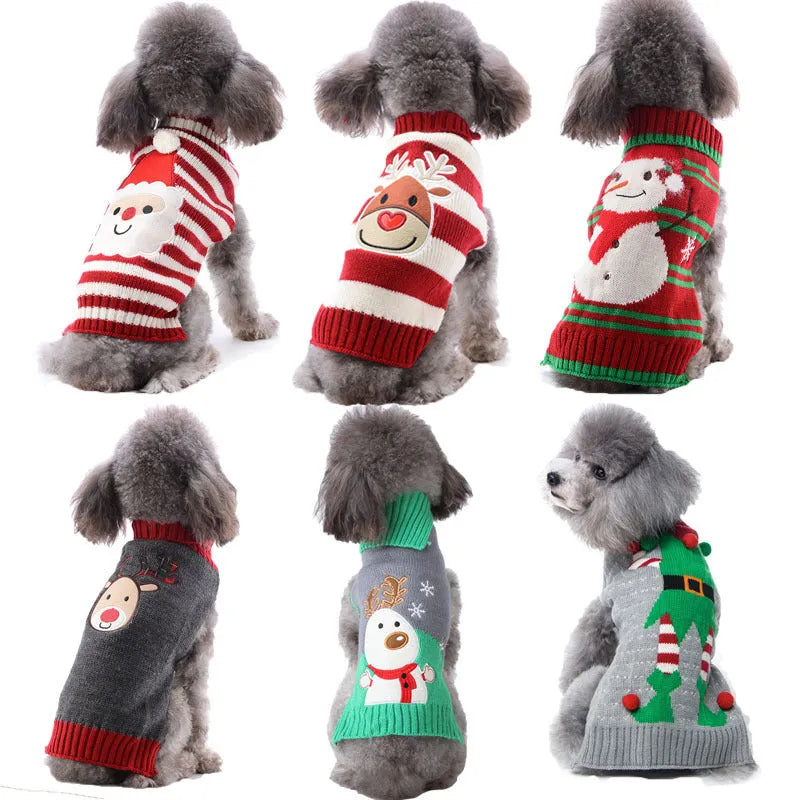 Small dog wearing a black acrylic Christmas sweater with colourful pompoms, standing indoors
