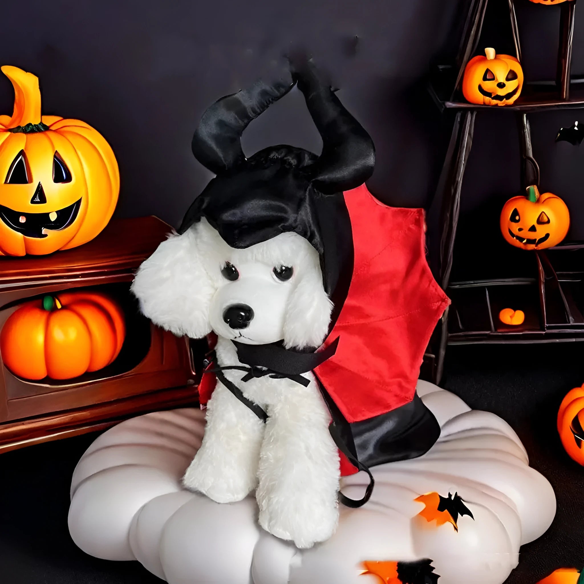 Halloween pet costume featuring bat devil cloak and matching hat on dog