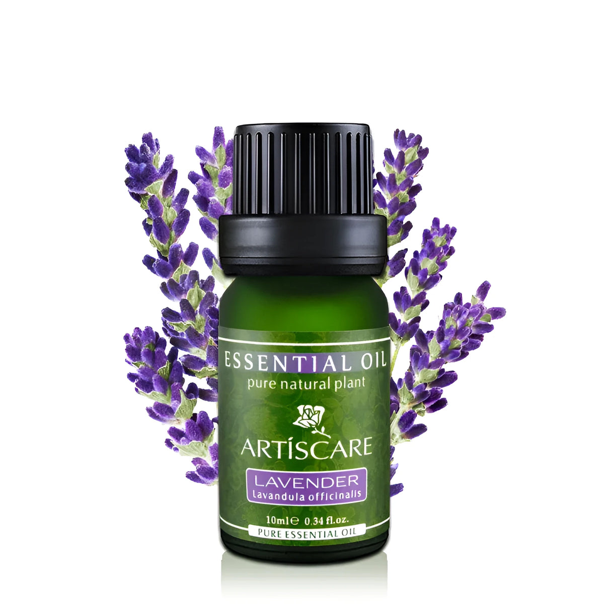 ARTISCARE Lavender Essential Oil 10ml bottle for acne and scar removal