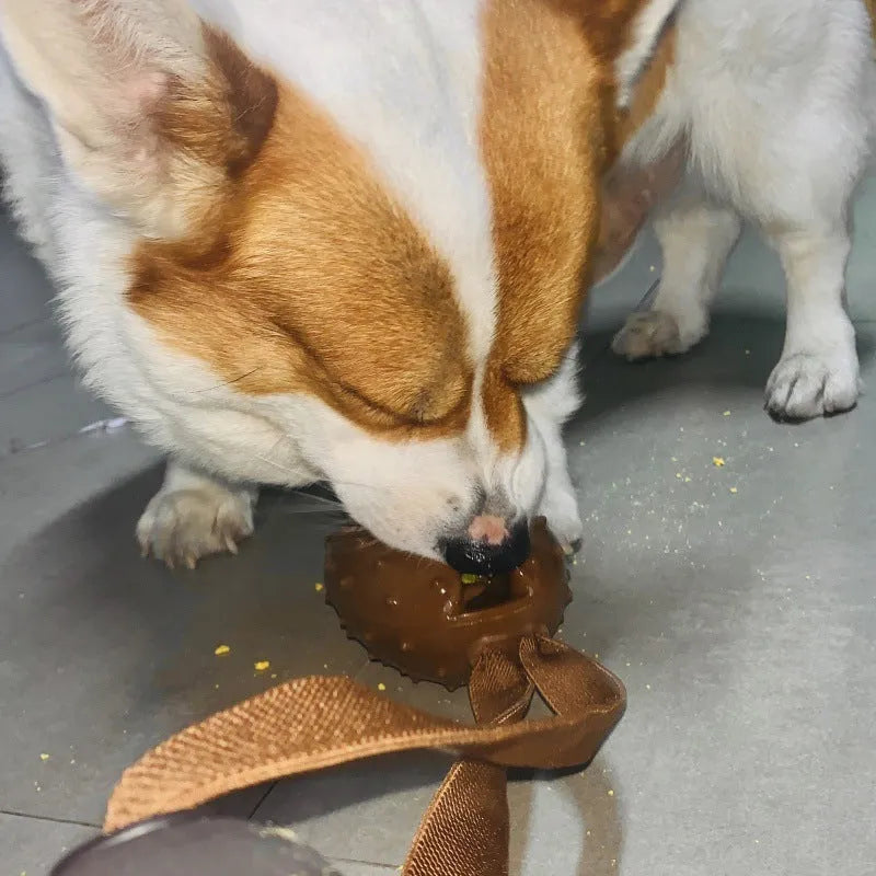 Coffee coloured TPR rubber dog chew toy shaped like a coffee bean with an integrated rope knot.