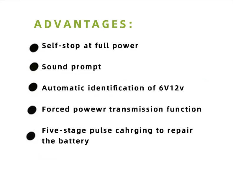 BT 168 12V/24V automotive battery charger for lead-acid vehicle batteries with American plug