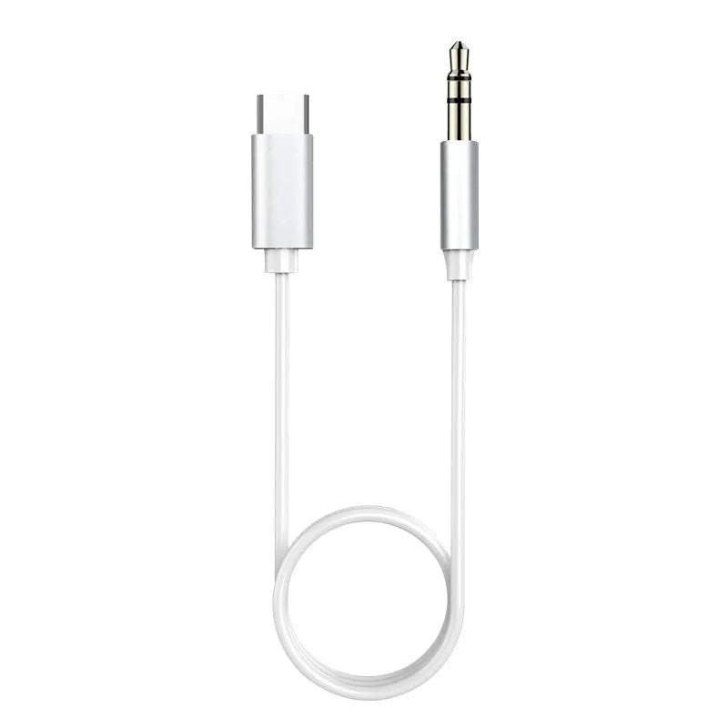 Fashion Speaker Amplifier Conversion Wire Silver Gray TPE metal shell Mini USB and Type-C to 3.5mm cables on white background