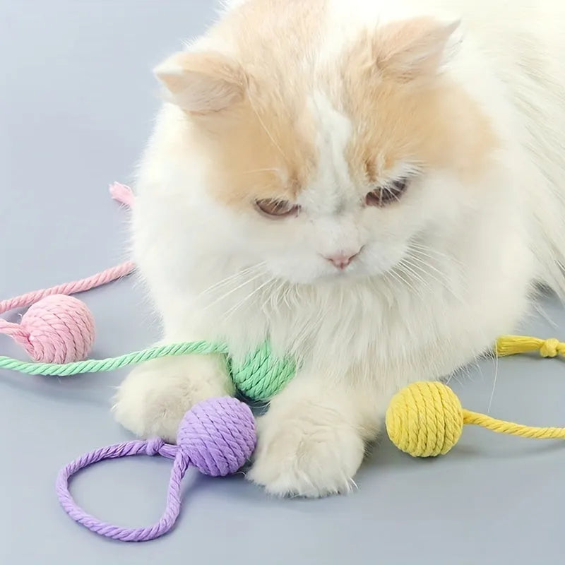Cat toy ball with rope handle in green, pink, purple or yellow colours with internal bell