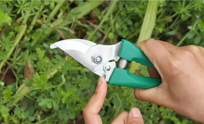 Ten-piece gardening tool set with iron heads and plastic handles in green and purple colour options