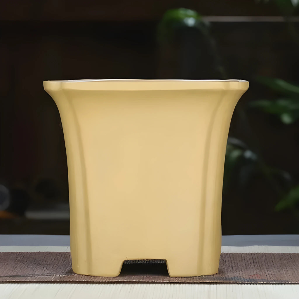 Classical square purple clay orchid pot, 15.5 cm width, in black finish