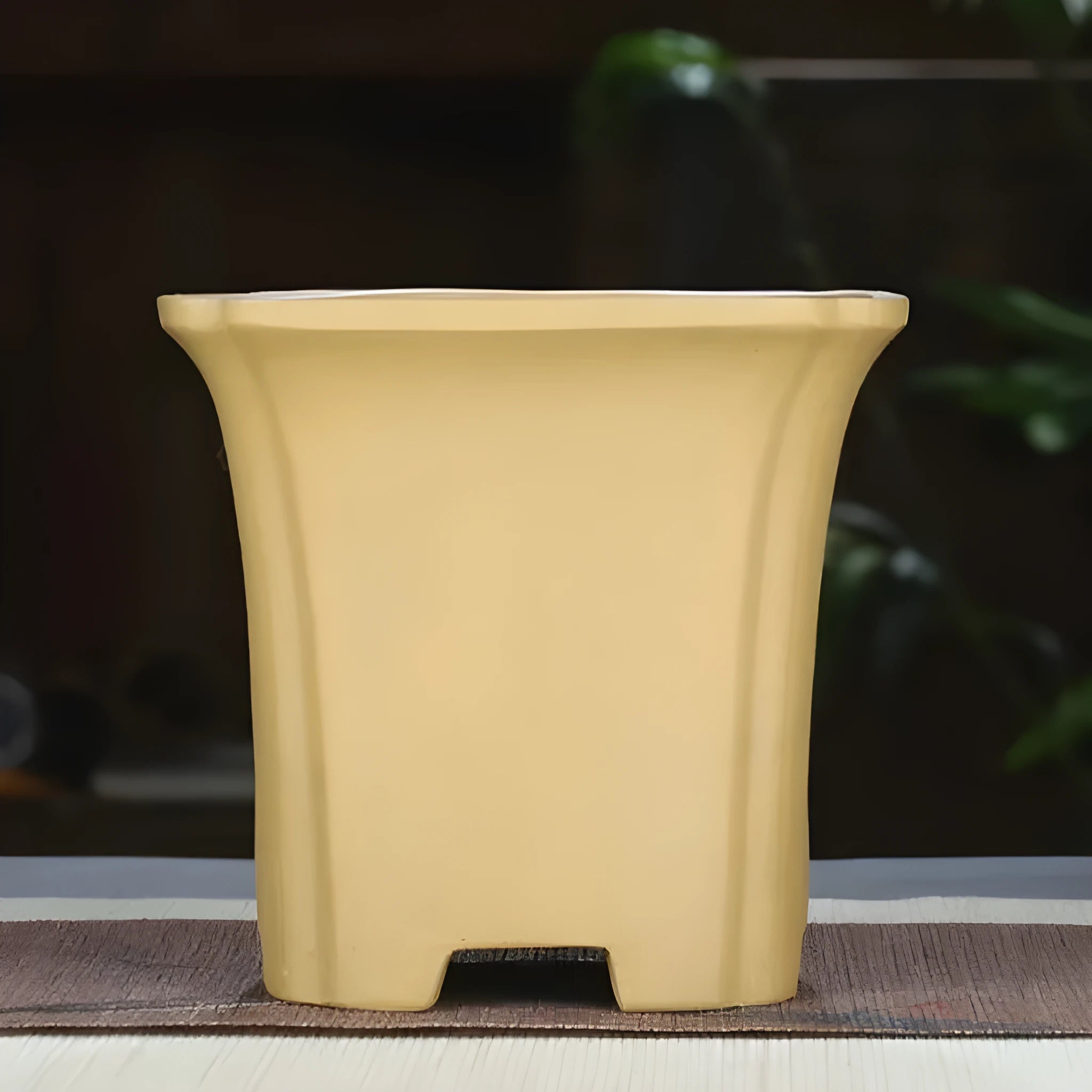 Classical square purple clay orchid pot, 15.5 cm width, in black finish