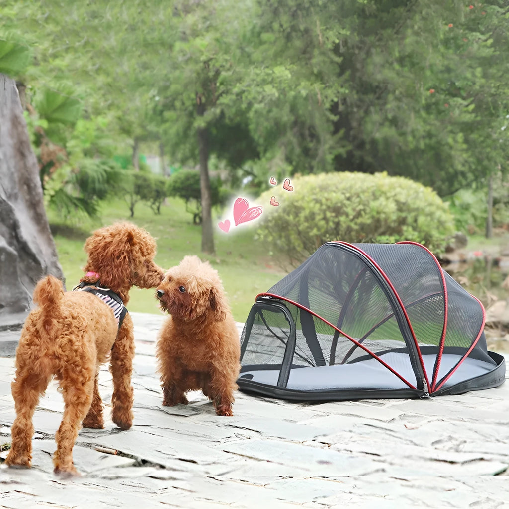 Portable folding cloth cat tent shown in blue half mesh variant, set up as a pet bed and travel cage.