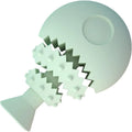 Blue fish bone shaped dog chew toy with treat hole for interactive dental care and play