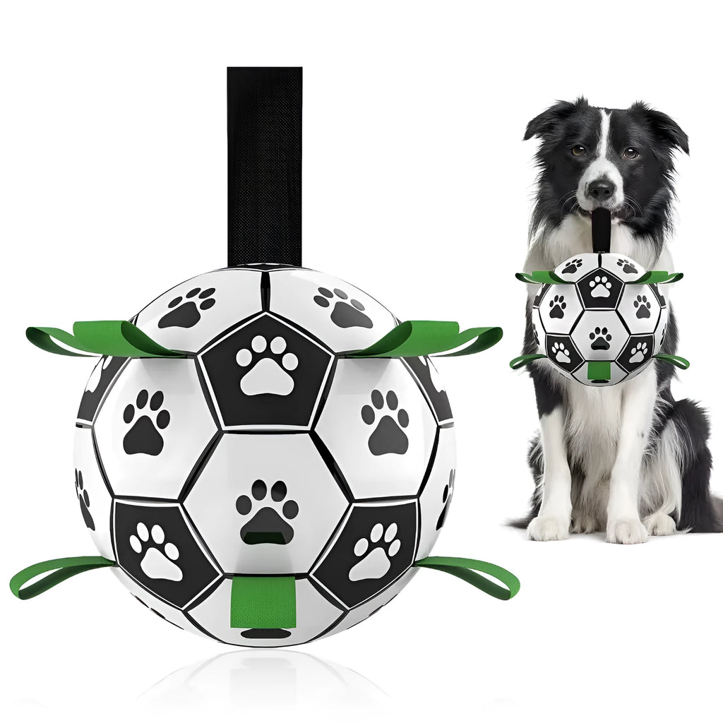 Interactive dog football toy with nylon tabs, 5-inch PU ball, pump and needle adapter for fetch and water play