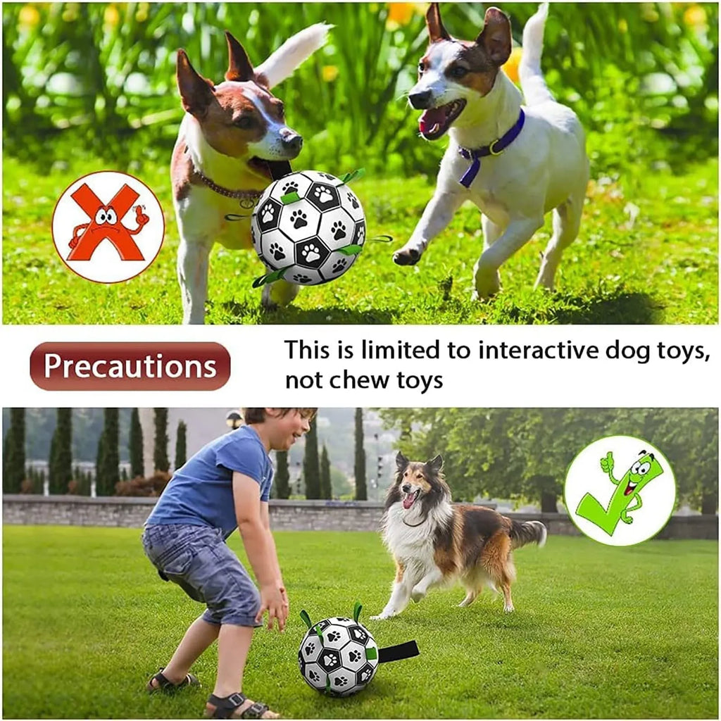 Interactive dog football toy with nylon tabs, 5-inch PU ball, pump and needle adapter for fetch and water play