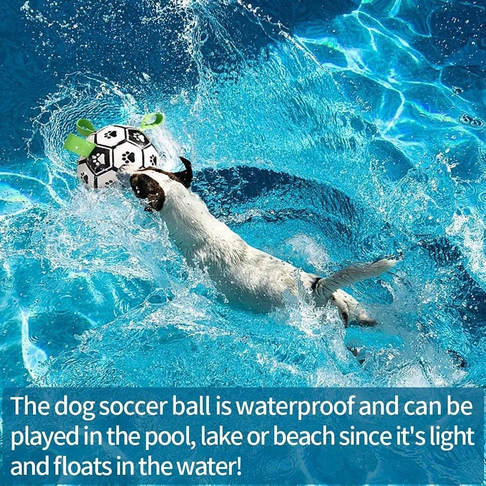 Interactive dog football toy with nylon tabs, 5-inch PU ball, pump and needle adapter for fetch and water play