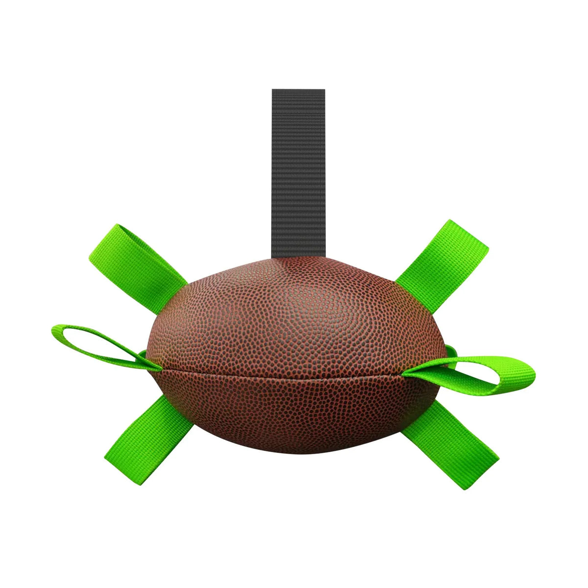 Interactive dog football toy with nylon tabs, 5-inch PU ball, pump and needle adapter for fetch and water play