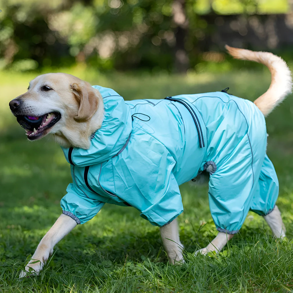 Thickened cotton-padded dog shell jacket in sports style design available in multiple sizes and colours