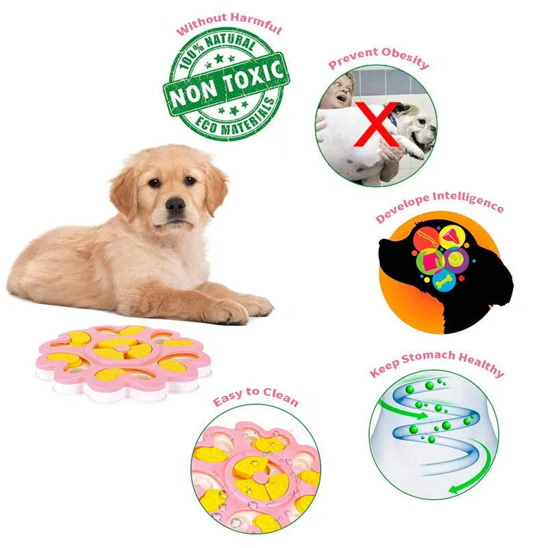 Dog food tray in PP plastic, available in Blue and Pink colour options for pet feeding