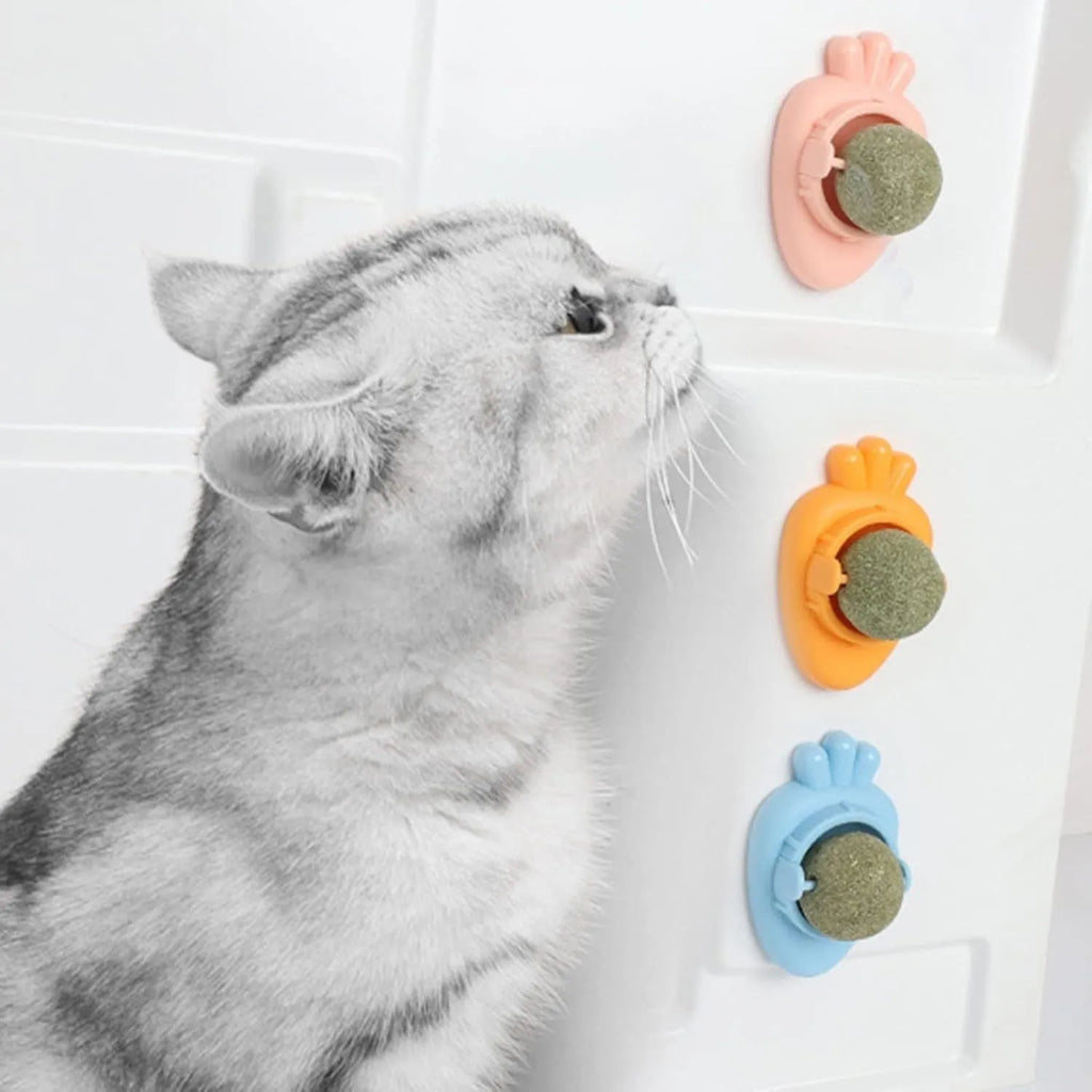 Blue carrot-shaped catnip ball with adhesive back for wall mounting and feline dental cleaning