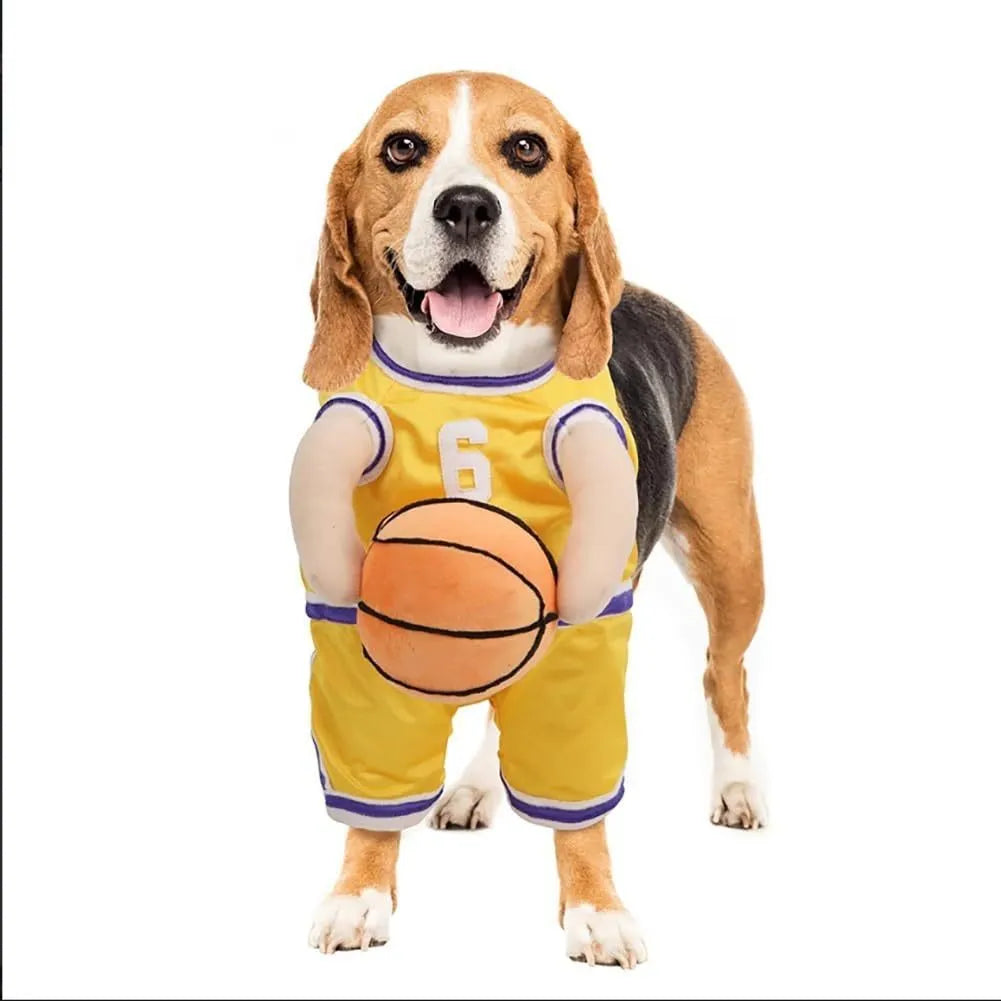Red dog wearing a basketball costume with a small attached basketball