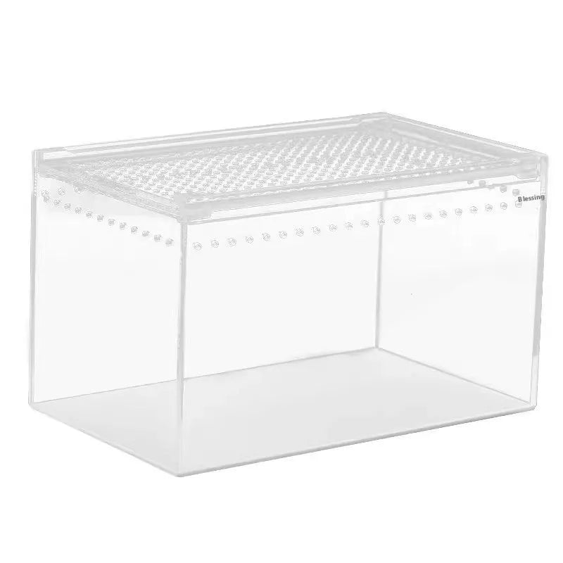 Transparent acrylic reptile feeding box showing five different size options on a white background.
