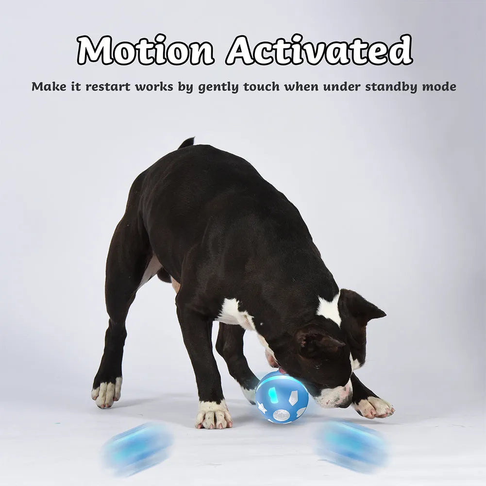 Blue smart electric pet ball with automatic induction, USB rechargeable, 7.2 cm size, for small dogs and cats