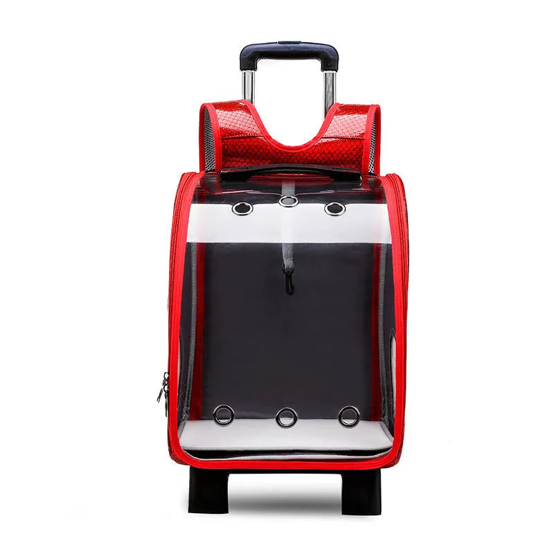 Transparent pet trolley backpack carrier for small dogs and cats with Oxford cloth and acrylic cover.