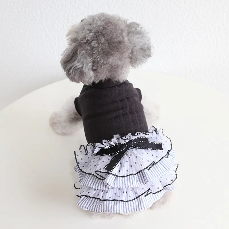 Polka dot lace princess dress for a small dog or cat in charcoal black colour.