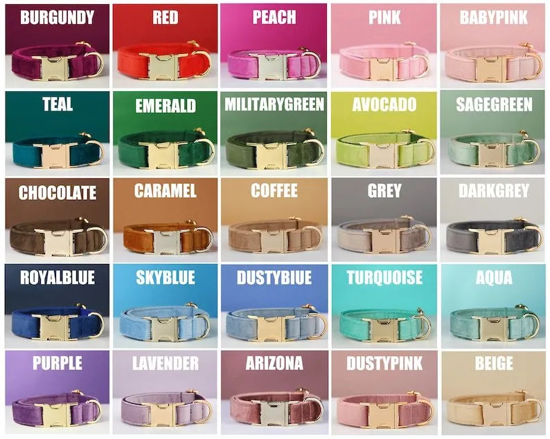 Velvet dog collar with bow tie, cotton lining and metal buckle, shown in a choice of colours and sizes XXS to XL