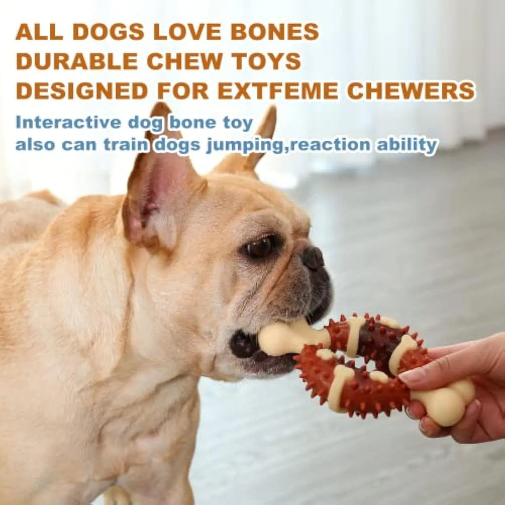 Bone-shaped natural rubber dog chew toy for grinding teeth, shown in large and small sizes.