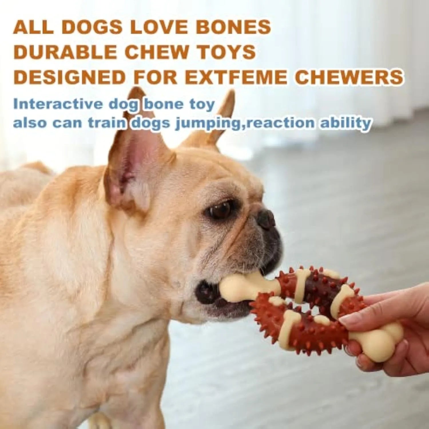 Bone-shaped natural rubber dog chew toy for grinding teeth, shown in large and small sizes.