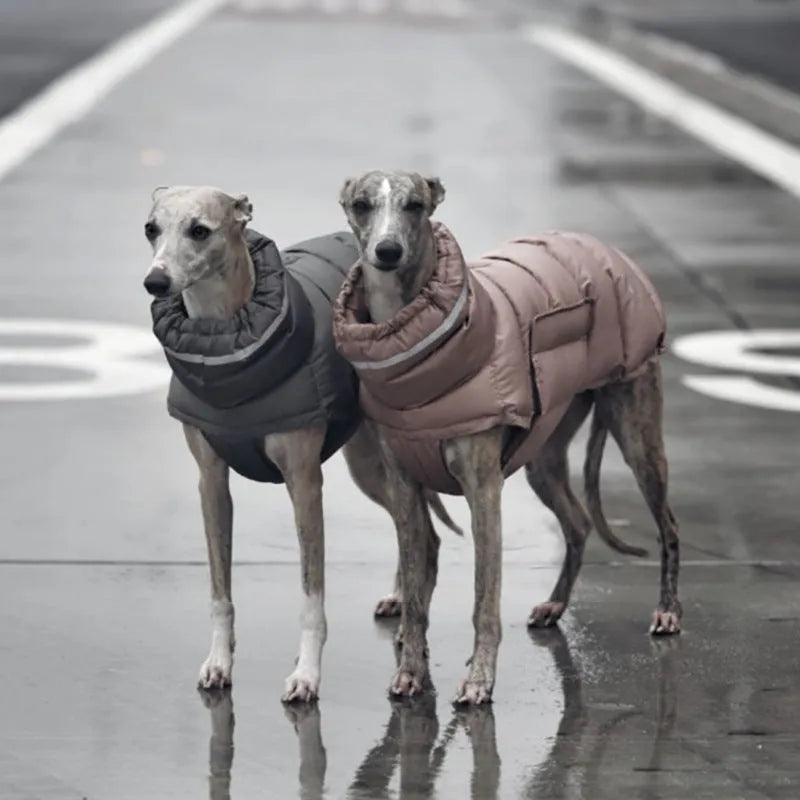 Dog wearing a thickened thermal vest coat in grey, made from 100% recycled polyester, available in sizes S to XL