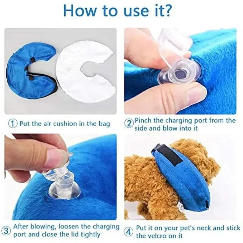 Blue inflatable soft recovery collar for a dog after surgery.