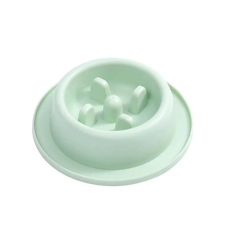 PP pet slow food bowl, 17 x 4.5cm, in pink, blue, or green, single bowl