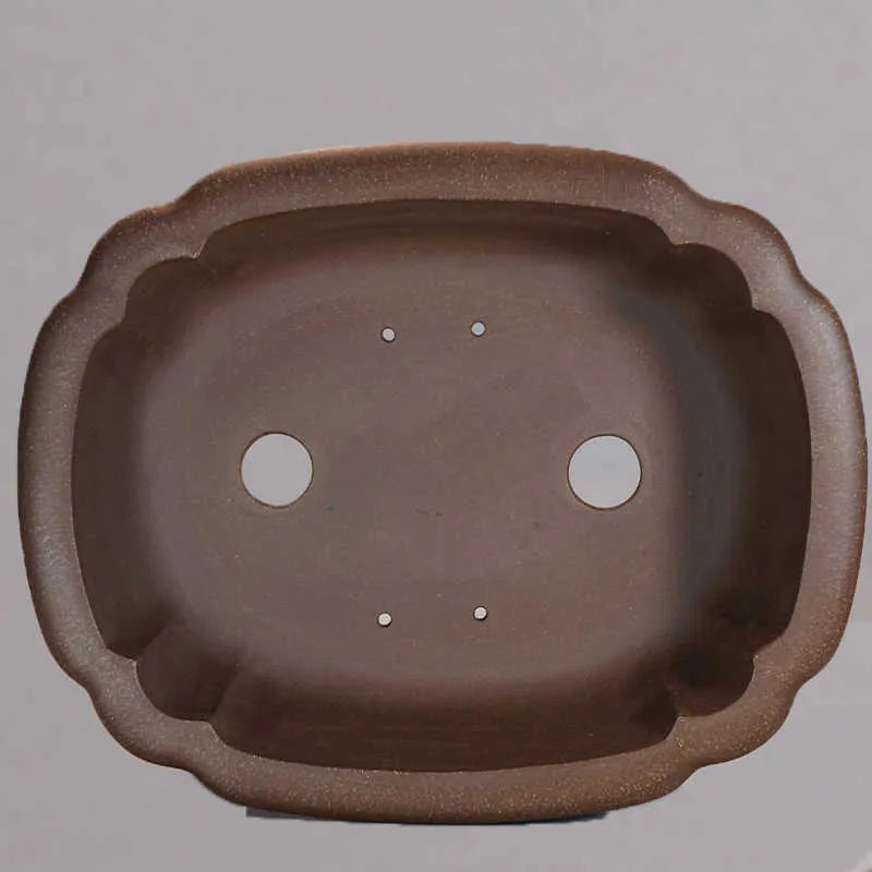 Purple clay rectangular antique begonia flower pot for desktop plants.