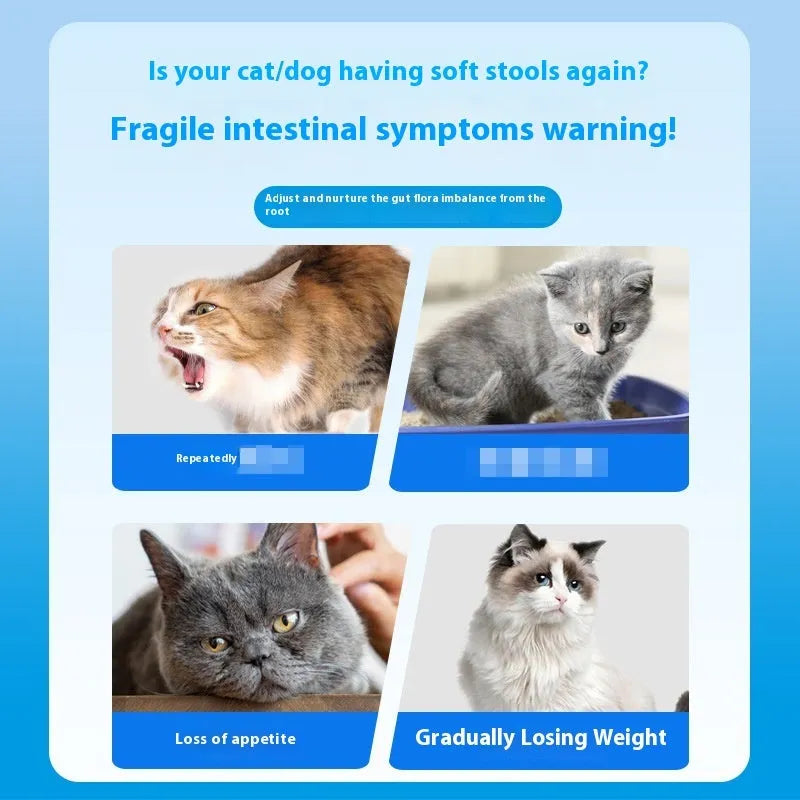 Bottle of 180 beef-flavoured probiotic tablets for pet digestive health.