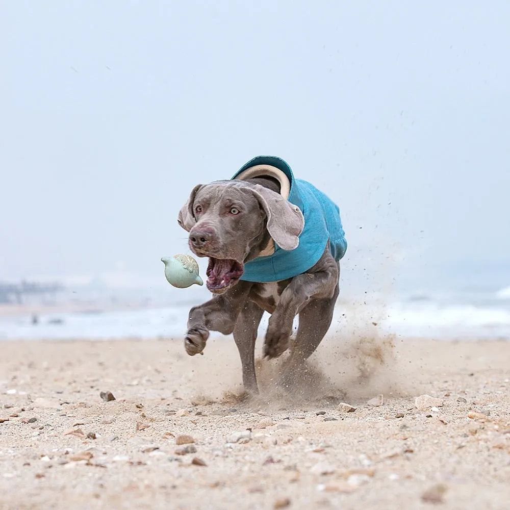 Polyester dog vest for medium large breeds in rose red light blue or grey colours cold-proof washable