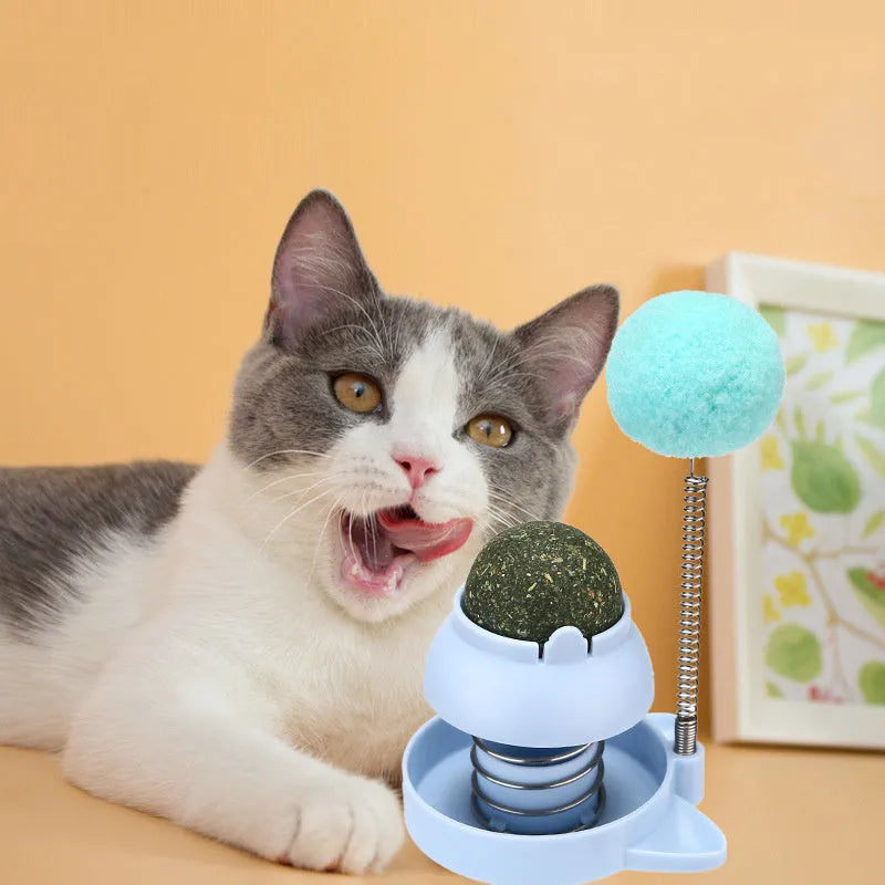 Blue lucky cat mint ball cat toy for hair removal and teeth cleaning