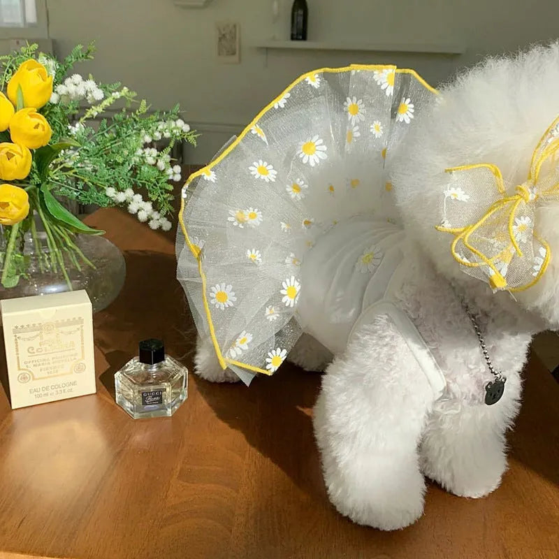 Yellow daisy print polyester dog clothes for summer wear in size L