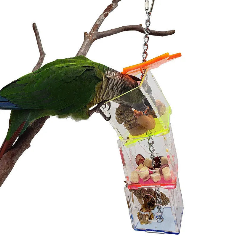 Acrylic parrot foraging toy measuring 5x5x32cm with food slots