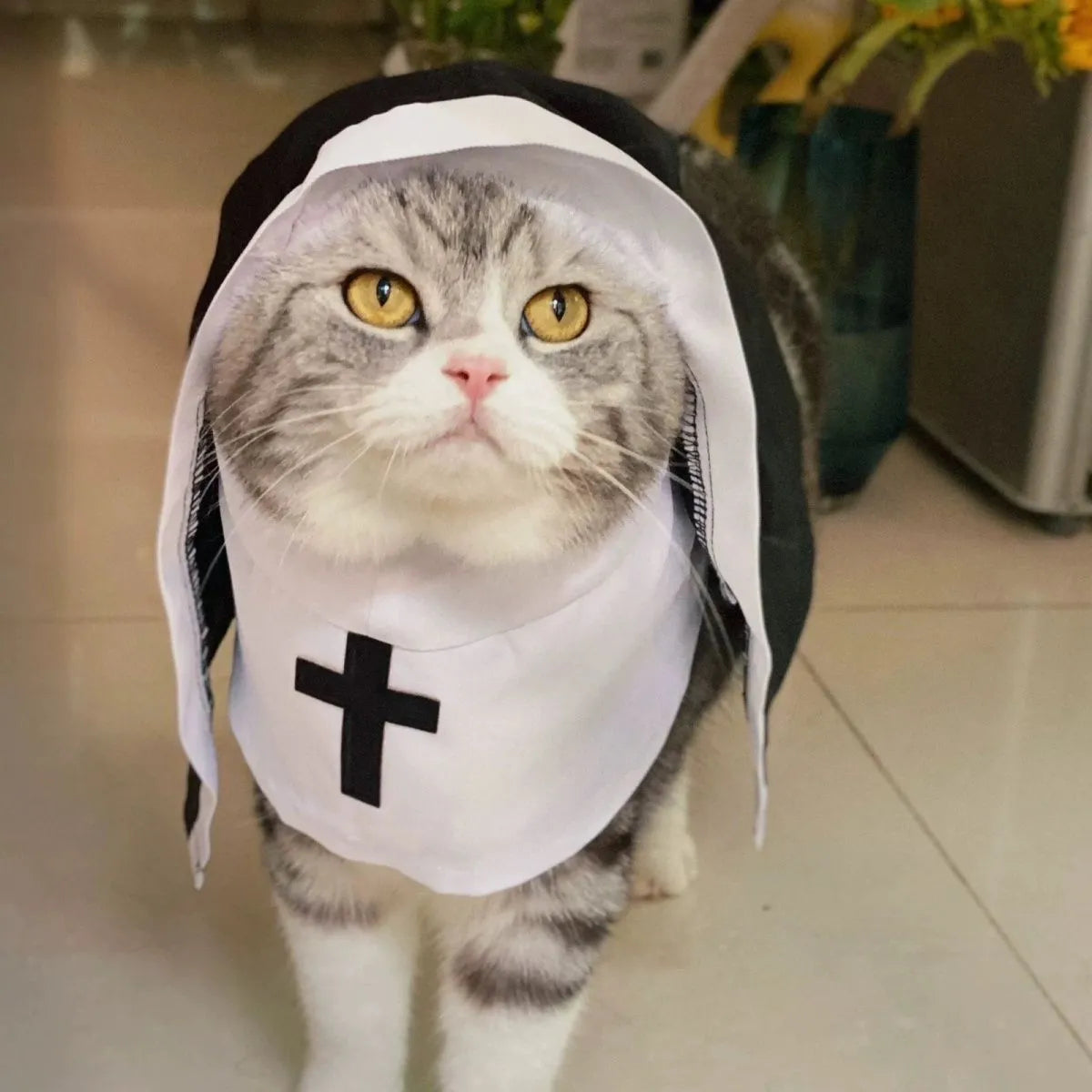 Black and white nun costume for small to medium dog on model