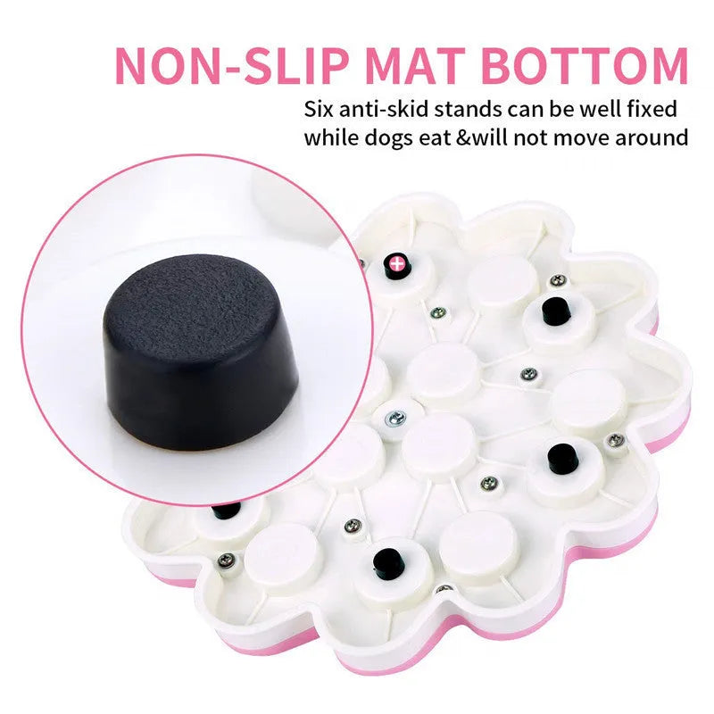 Dog food tray in PP plastic, available in Blue and Pink colour options for pet feeding