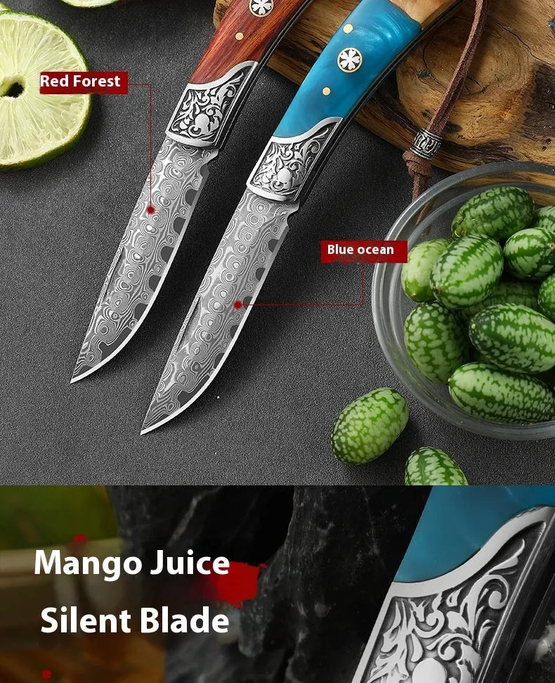 VG10 stainless steel folding pocket knife with dovetail pattern handle in blue or red colour
