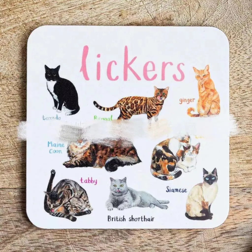 Set of 6 square bird pun coasters with PVC material, flower design, 10x10x0.35 cm each