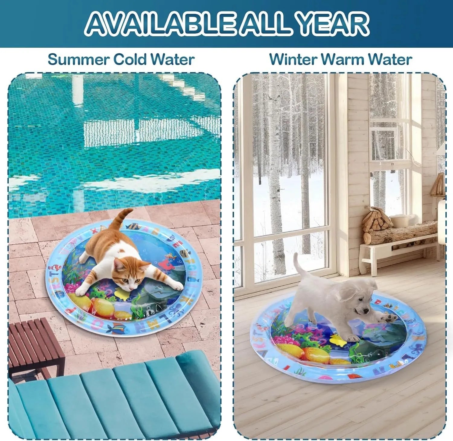 Large square blue water playmat for cats with floating fish toys inside, shown on a floor.