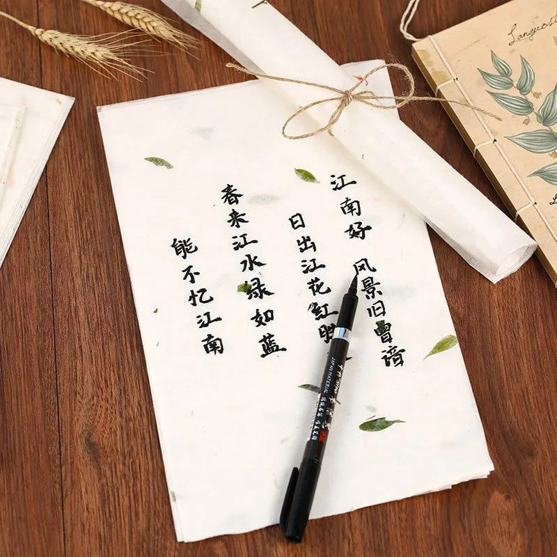 Chinese ancient style painting paper stationery set with 10 sheets in green leaf design