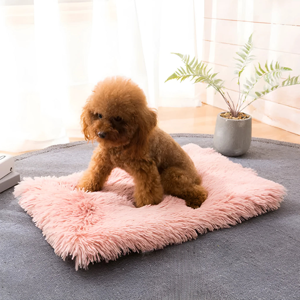 Pet nest in plush material with anti-slip water-resistant bottom, shown in four sizes and five colours