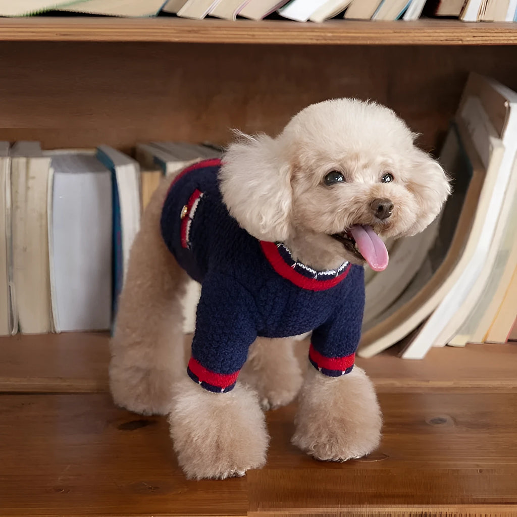 Blue wool blend dog cardigan in classic princess style shown on mannequin