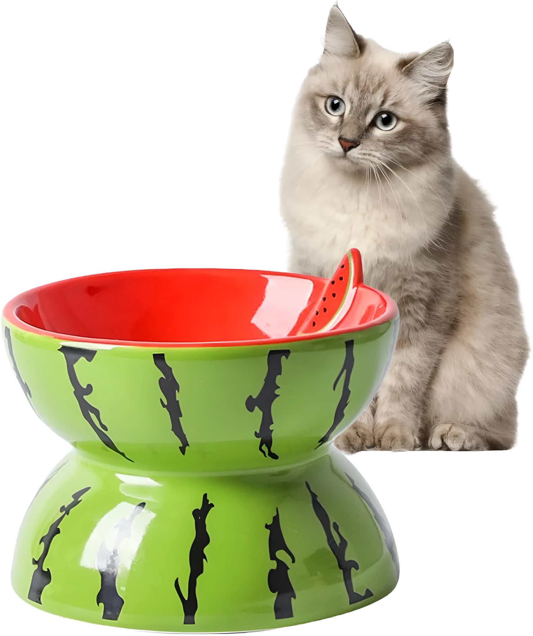 Ceramic elevated cat bowl with tilted wide dish in a colourful fruit pattern.